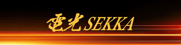 電光SEKKA